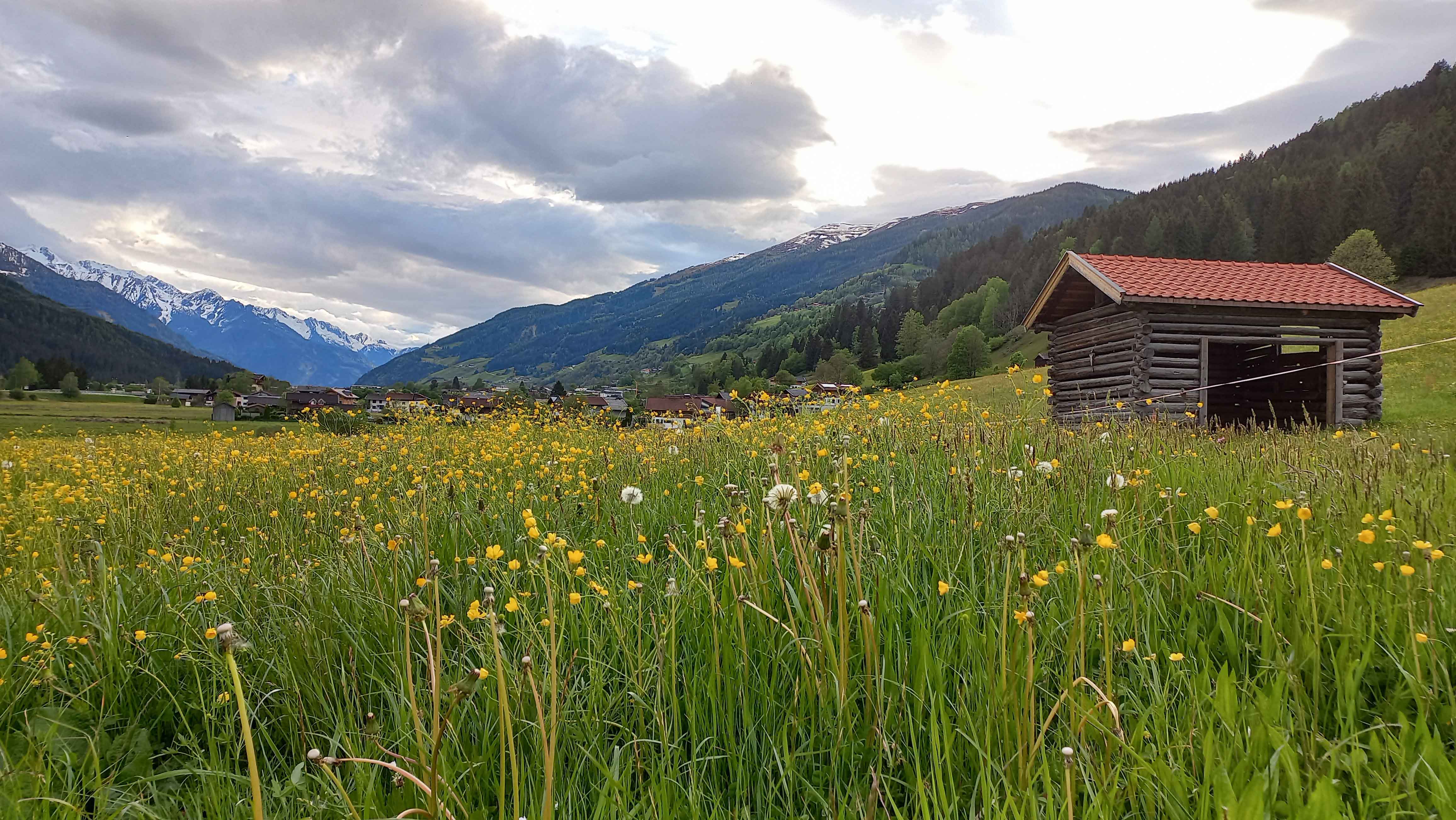 Frühling in den Alpen: Die Berge erwachen aus ihrem Winterschlaf - Bergundbahn.com