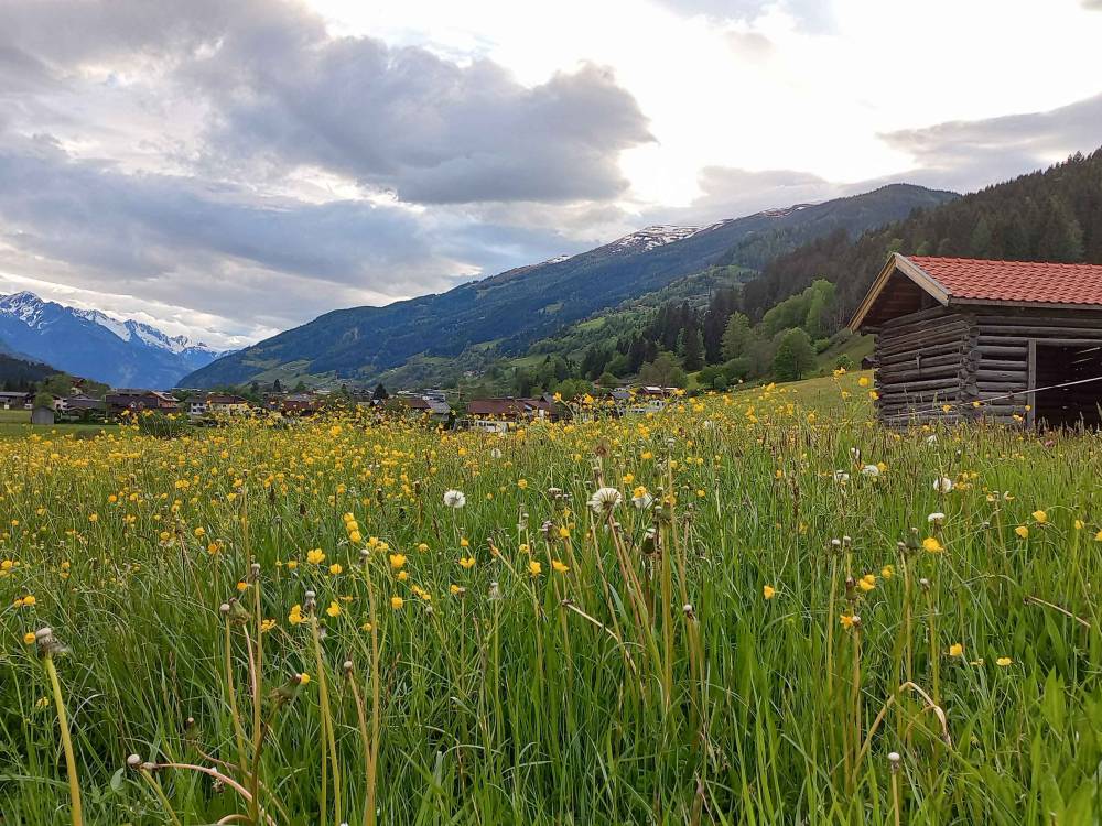 Lente in de Alpen: Hoe de bergen ontwaken uit hun winterslaap