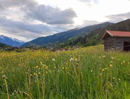 Frühling in den Alpen: Wie die Berge aus dem Winterschlaf erwachen