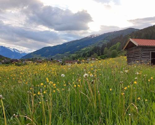 Lente in de Alpen: Hoe de bergen ontwaken uit hun winterslaap