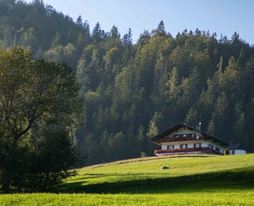 Een prikkelarme vakantie accommodatie