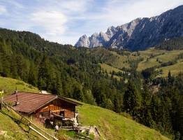 Was ist eine Alm? Entdecken Sie den Zauber und die harte Realität der Bergwiesen