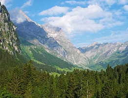 Die Alpen